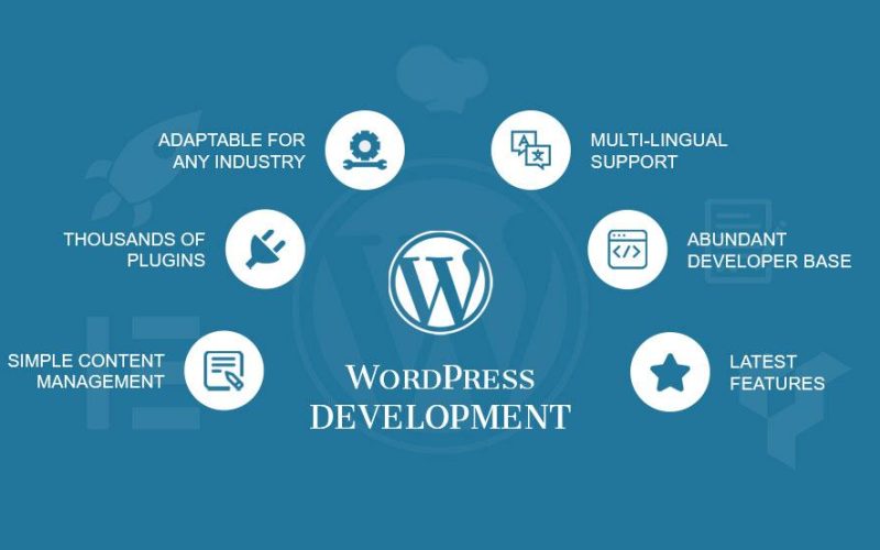 Want to Explore Unstoppable Power of WordPress?